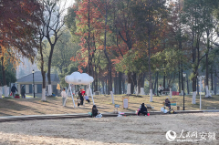 相聊甚欢；散步遛